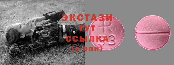 крисы Новодвинск