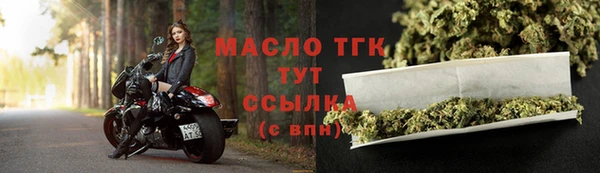 молекула духа Няндома