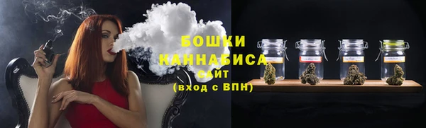 МДПВ Новозыбков