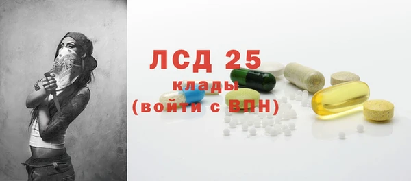 молекула духа Няндома