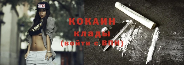 крисы Новодвинск