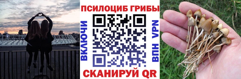 Псилоцибиновые грибы Magic Shrooms  продажа наркотиков  Касли 